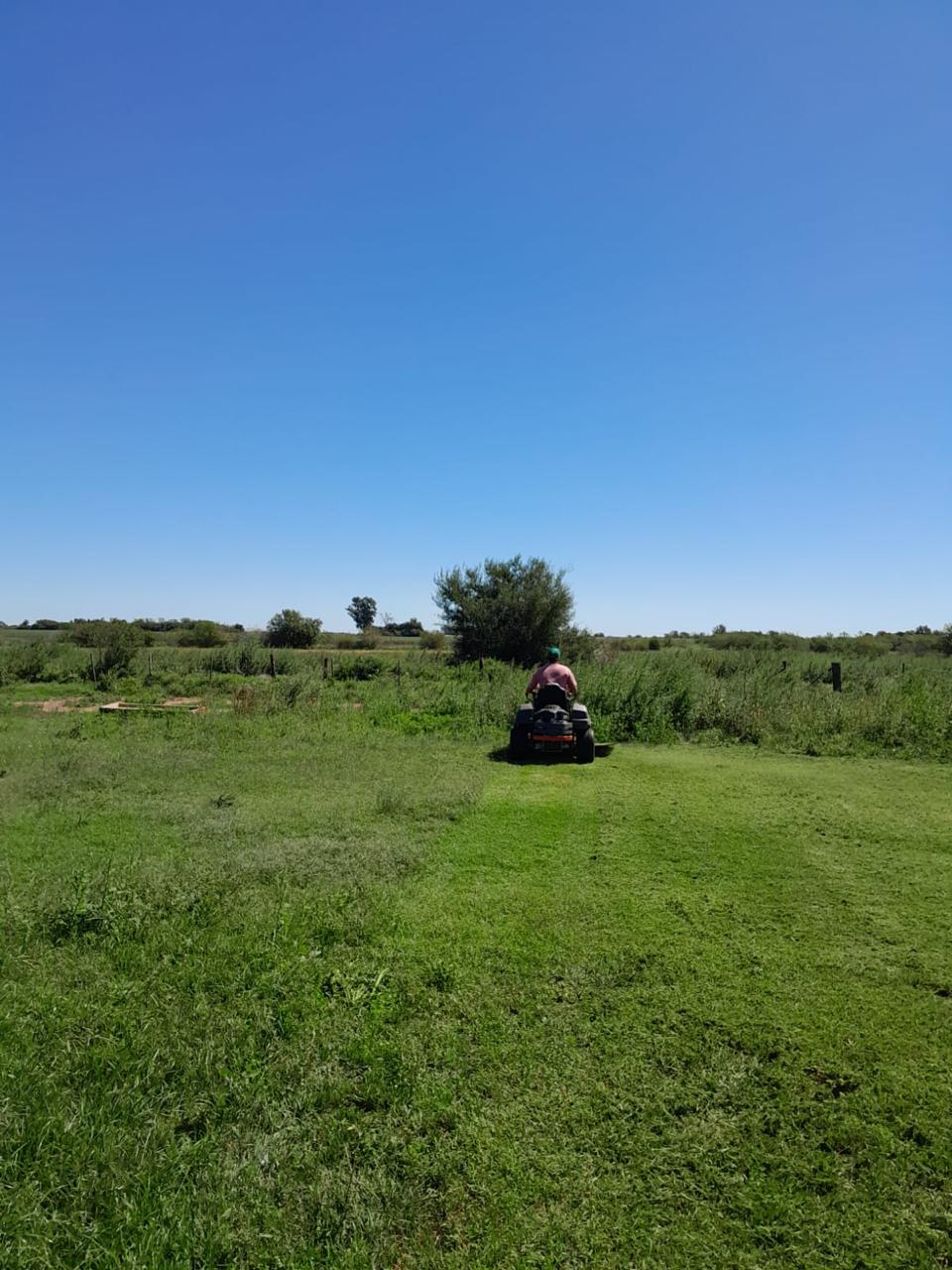 Terreno grande a medio cortar, con el pasto alto de un lado y parejo del otro